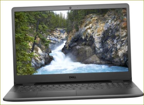 DELL Vostro 3500 (1920x1080, Intel Core i5 2.4GHz, 4GB RAM, 1000GB HDD, Linux)