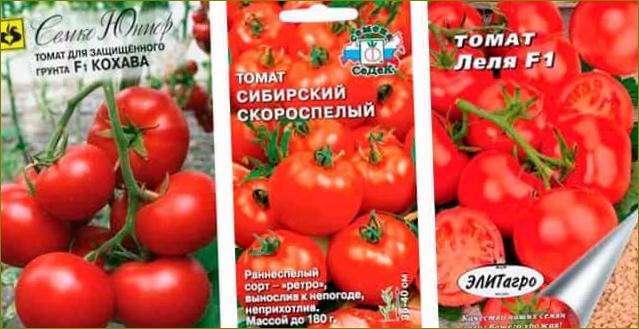 kohava-siberian-early-ripening-lela