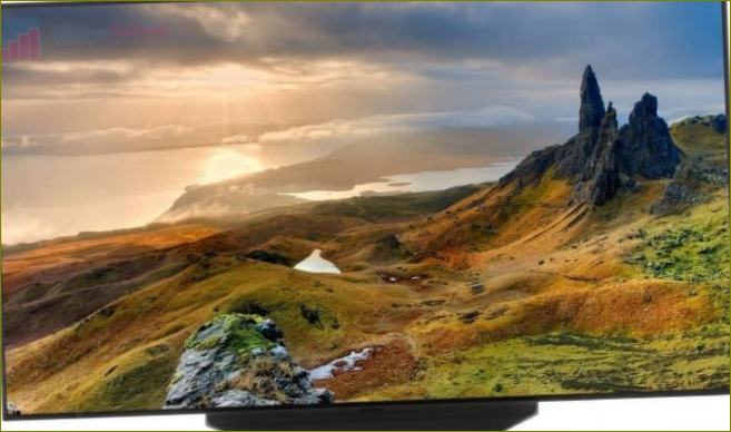 Premium OLED TV LG OLED55B9P