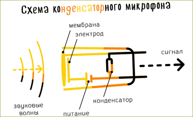 Kaaviokuva kondensaattorimikrofonin perusrakenteesta