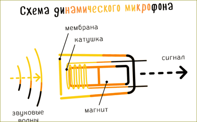 Kaaviokuva tavallisesta dynaamisesta mikrofonista