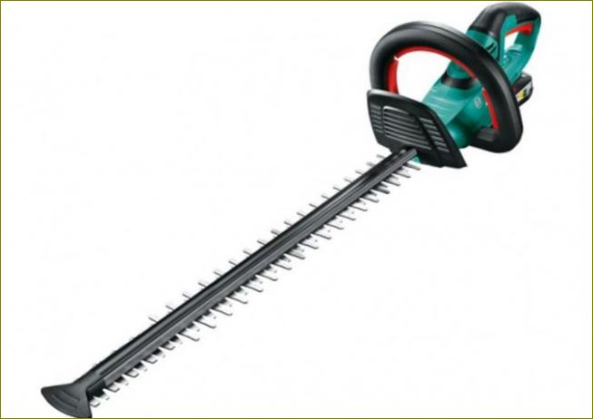 Bosch AHS 55-20 Li 55 cm