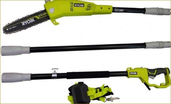 Ryobi RPP755E kuva